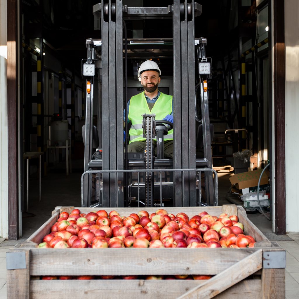 distribution, logistics, delivery and storage of fruits for sale and production Fresh produce - distribution, logistics, delivery and storage of fruits for sale and production